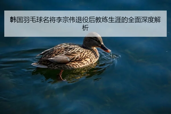 韩国羽毛球名将李宗伟退役后教练生涯的全面深度解析